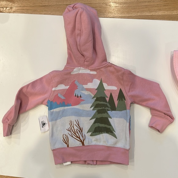 NWT Disney Sweatshirt, 2T, and Hat (Youth) currently sold in Disneyland Jan 2024 - Picture 13 of 16